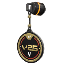 V25 ACT V Coin Buddy