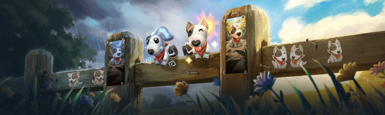 Dog Days Valorant bundle