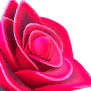 Blackthorn Rose Flex