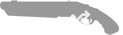 Random Favorite Skin