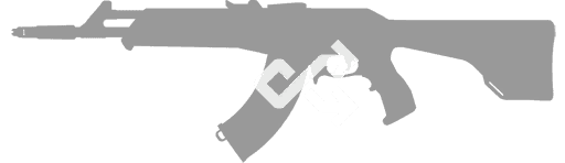 Random Favorite Skin