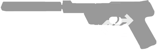 Random Favorite Skin