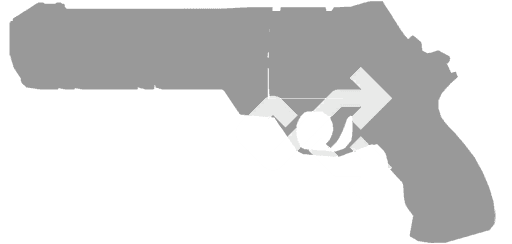 Random Favorite Skin